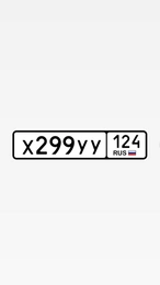 Х299УУ124 30000 рублей, Красноярск