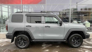 Внедорожник Tank 300 2024 года, 3850000 рублей, Солонцы