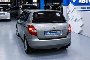 Хетчбэк Skoda Fabia 2010 года, 455000 рублей, Солонцы