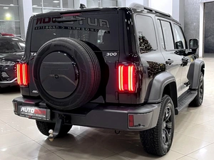 Внедорожник Tank 300 2023 года, 3387000 рублей, Солонцы