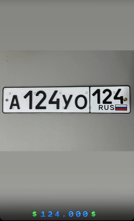 Госномер 124/124. А 124 УО 124. 124000 рублей, Красноярск