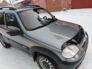 Внедорожник Chevrolet Niva 2010 года, 515000 рублей, Зеленогорск