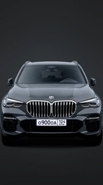 Госномер 900 250 рублей, Красноярск