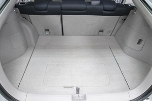 Лифтбек Honda Insight 2009 года, 853000 рублей, Солонцы