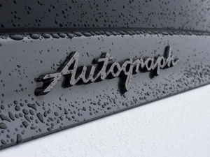 Внедорожник Infiniti QX80 2025 года, 17300000 рублей, Новоивановское