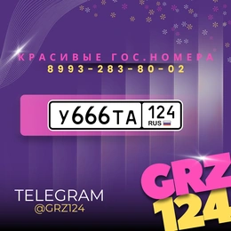 Госномер 666 250000 рублей, Красноярск