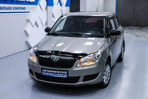 Хетчбэк Skoda Fabia 2010 года, 455000 рублей, Солонцы