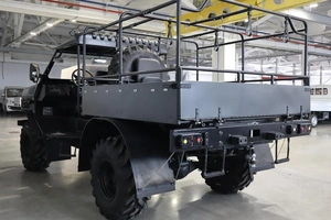 Внедорожник открытый ПЛАСТУН ТТ 2025 года, 1950000 рублей, Брянск