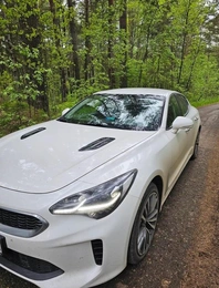 Лифтбек Kia Stinger 2018 года, 2499000 рублей, Красноярск