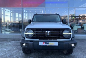 Внедорожник Tank 300 2023 года, 3580000 рублей, Солонцы