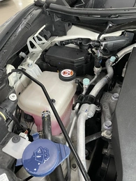 Внедорожник Toyota C-HR 2020 года, 2547000 рублей, Солонцы