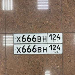 Гос номер 666 280000 рублей, Красноярск