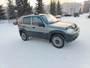 Внедорожник Chevrolet Niva 2010 года, 515000 рублей, Зеленогорск
