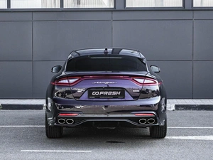 Лифтбек Kia Stinger 2018 года, 2624000 рублей, Кирилловка