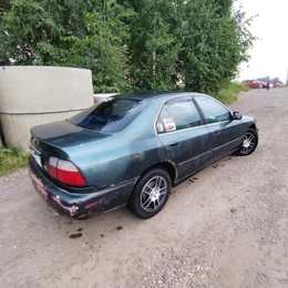 Седан Honda Accord 1996 года, 240000 рублей, Красноярск