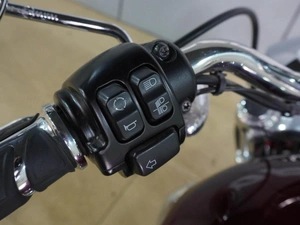 Harley-Davidson Sportster 1200 2015 года, 989000 рублей, Воронеж