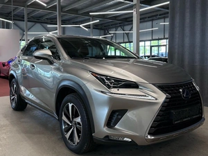 Внедорожник Lexus NX 2020 года, 4200000 рублей, Павловская Слобода