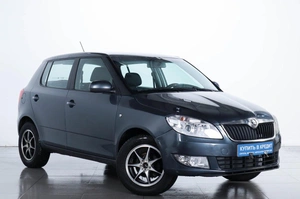 Хетчбэк Skoda Fabia 2013 года, 529000 рублей, Челябинск