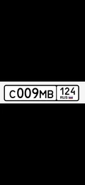 Гос номер С009МВ 124 180000 рублей, Красноярск