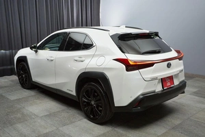 Внедорожник Lexus UX 2020 года, 3500000 рублей, Красноярск