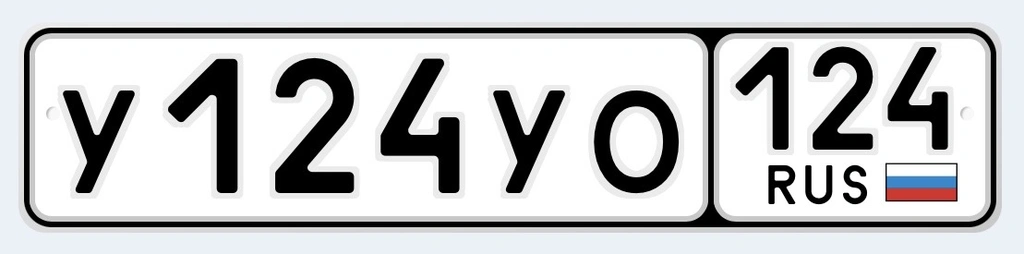 Гос номер 124 124 200000 рублей, Красноярск