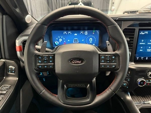 Пикап Ford F-150 Raptor 2025 года, 13490000 рублей, Павловская Слобода