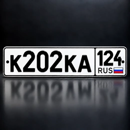 Гос номер 202 50000 рублей, Красноярск