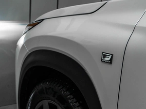 Внедорожник Lexus NX 2016 года, 3075000 рублей, Тюмень