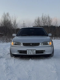 Седан Toyota Corolla 2000 года, 495000 рублей, Красноярск
