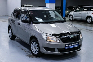 Хетчбэк Skoda Fabia 2010 года, 455000 рублей, Солонцы
