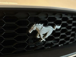 Купе Ford Mustang 2019 года, 3397000 рублей, Красноярск