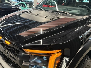 Пикап Ford F-150 Raptor 2025 года, 13490000 рублей, Павловская Слобода