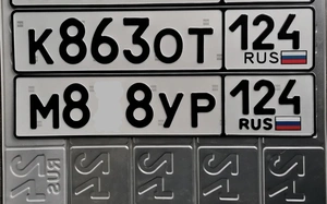 КОТ МУР 100000 рублей, Красноярск