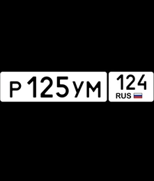 госномер 125 124 25000 рублей, Красноярск