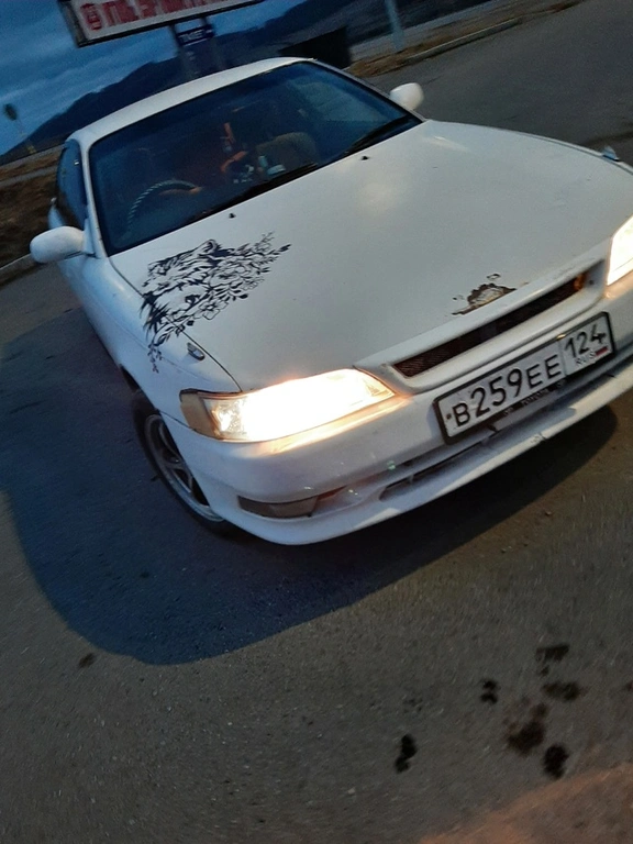 Фото