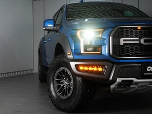 Пикап Ford F-150 Raptor 2019 года, 7450000 рублей, Минеральные Воды