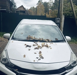 Универсал Toyota Prius Alpha 2015 года, 1750000 рублей, Красноярск