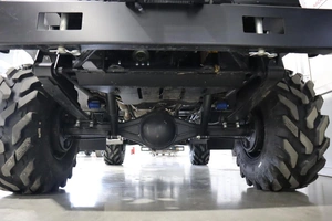 Внедорожник открытый ПЛАСТУН ТТ 2025 года, 1950000 рублей, Брянск