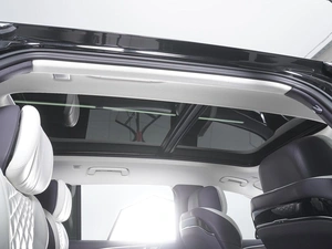 Внедорожник Hongqi E-HS9 2021 года, 3990000 рублей, Ростов-на-Дону