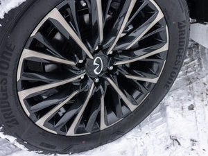 Внедорожник Infiniti QX80 2025 года, 17300000 рублей, Новоивановское