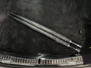 Купе Rolls-Royce Spectre 2024 года, 50000000 рублей, Павловская Слобода