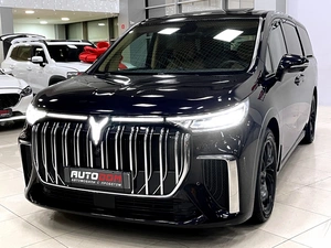 Минивэн Voyah Dream 2023 года, 4997000 рублей, Солонцы