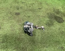 Фото